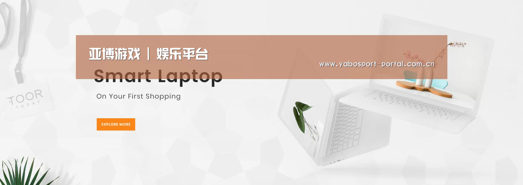 某某网络科技有限公司