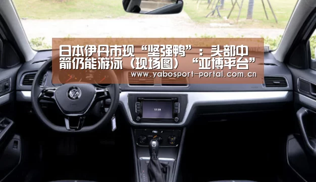 日本伊丹市现“坚强鸭”:头部中箭仍能游泳(现场图)“亚博平台”(图4) 亚博平台