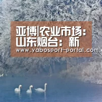 亚博|农业市场:山东烟台:新型肥料用量减半 行情低迷(图1) 亚博