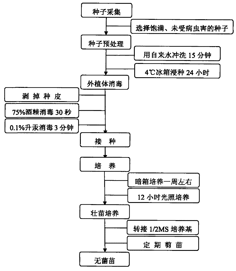 《被抹去的男孩》观后感精选10篇|亚博(图2) 亚博官网